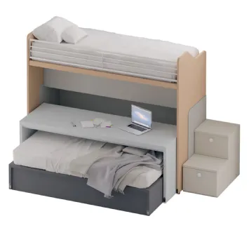 <b>Genius</b> loft bed